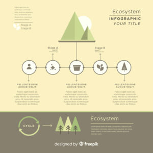 Informative ecosystem infographics concept Free Vector