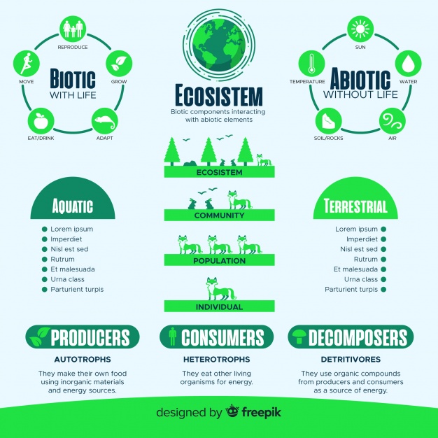 Modern Ecosystem Infographics Concept Free Vector - vrogue.co