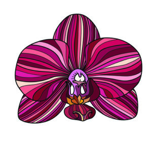 orchid red ornament vector