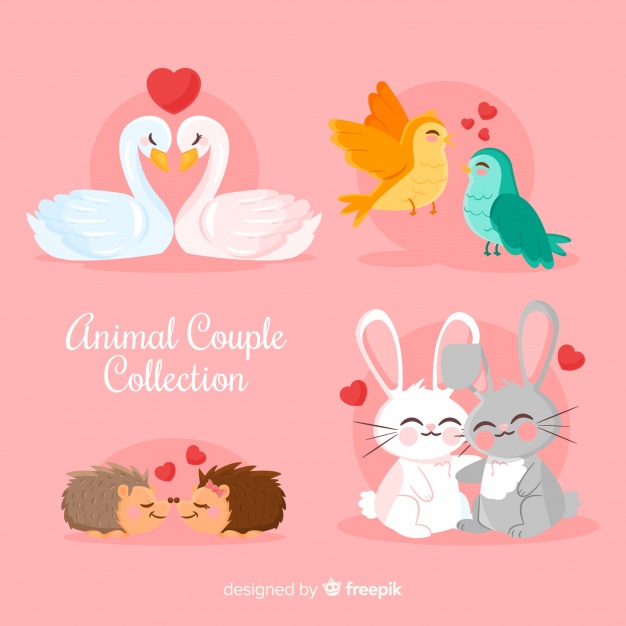 Cute valentine's day animal couple illustration Free Vector - دروس  الفوتوشوب Photoshop tutorials جرافيكس العرب كل ما تحتاج لتكون مبدع ملتقى  المصممين