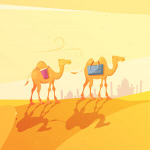 Camels in desert cartoon illustration Free Vector